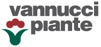 Vannucci-Piante-logo